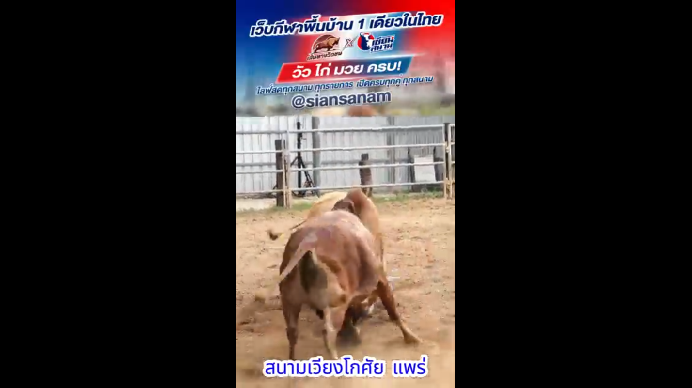 Video Poster