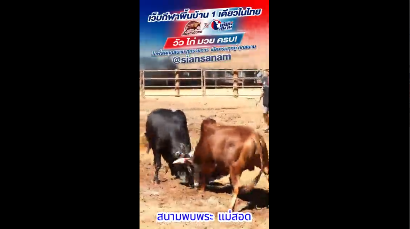 Video Poster