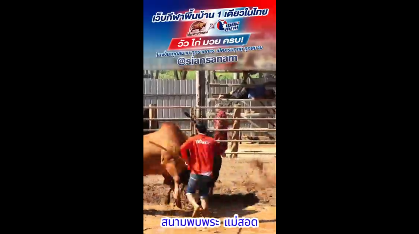 Video Poster