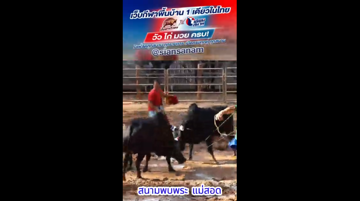 Video Poster