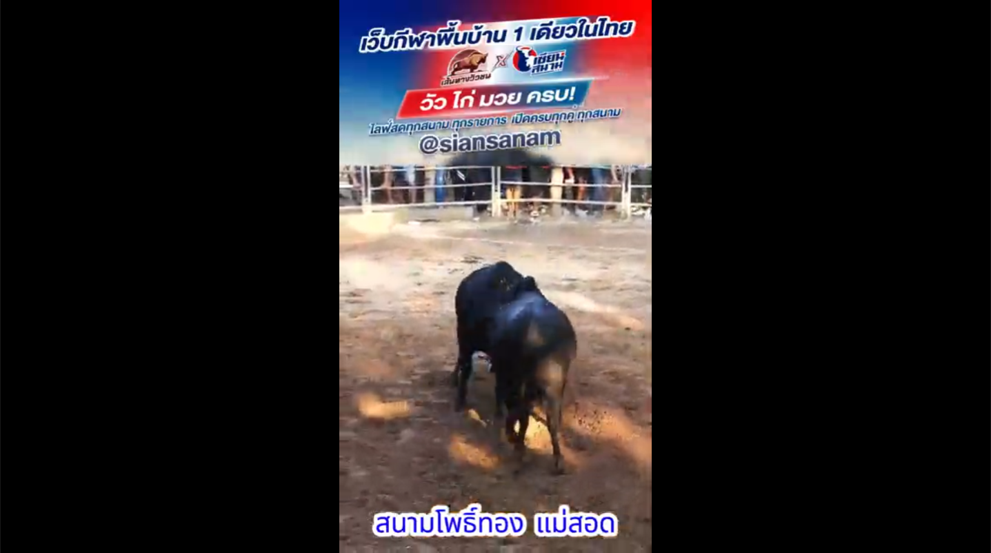 Video Poster