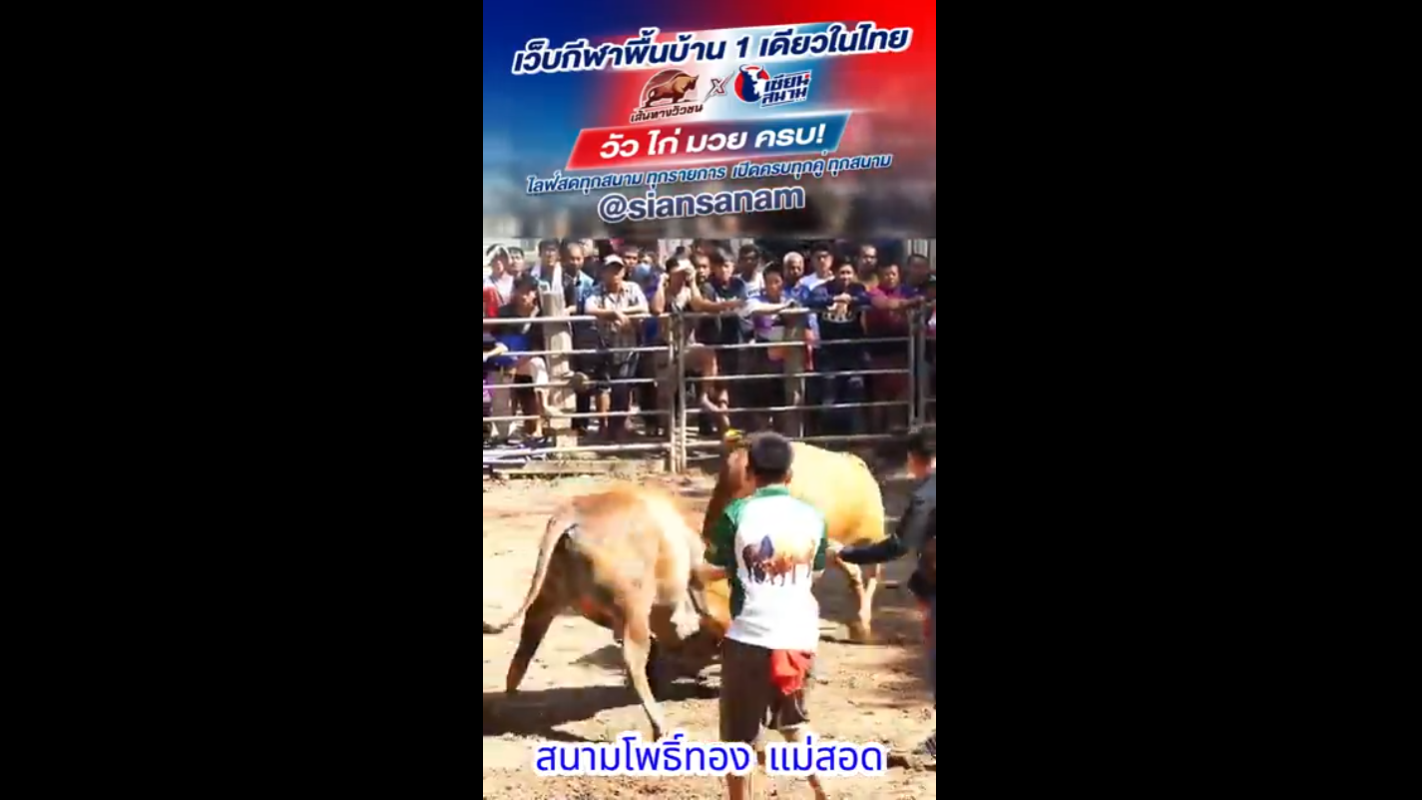 Video Poster