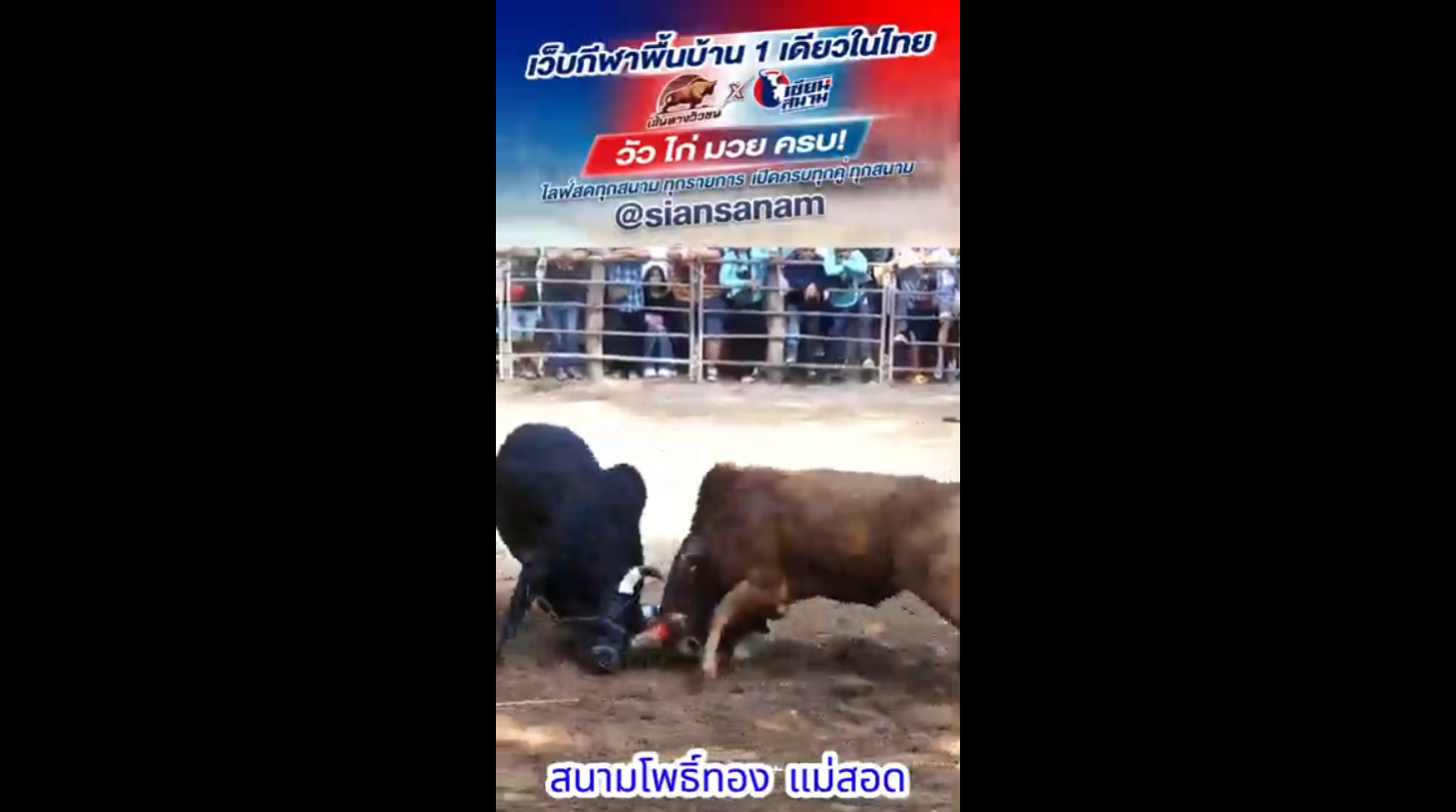 Video Poster